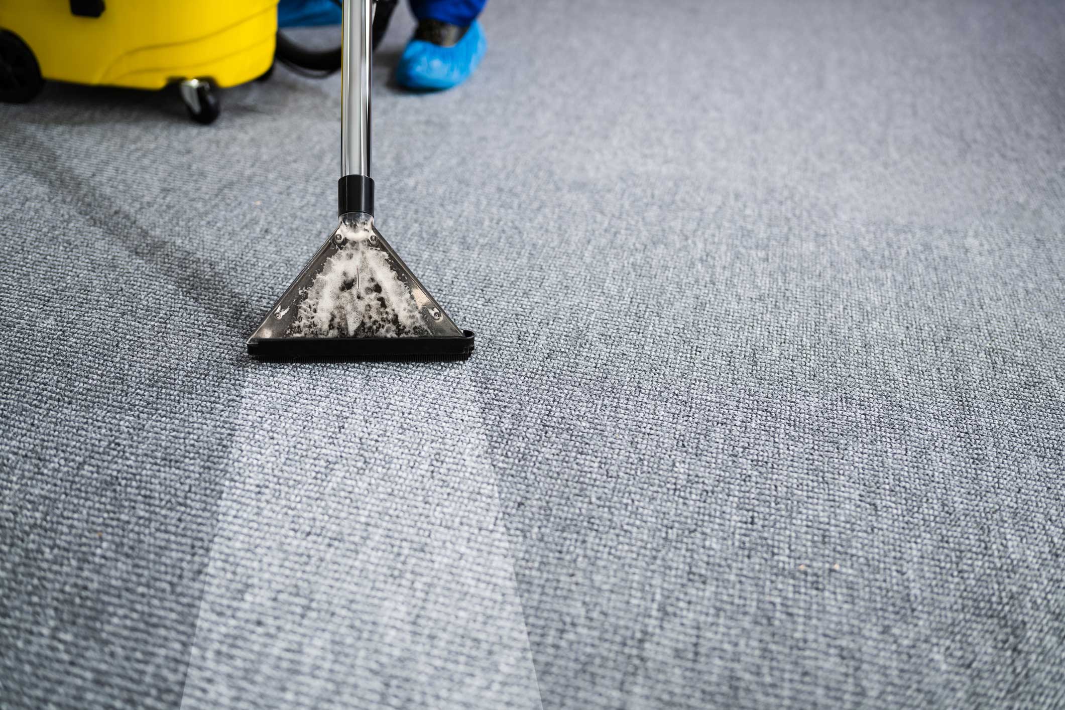 carpet cleaning